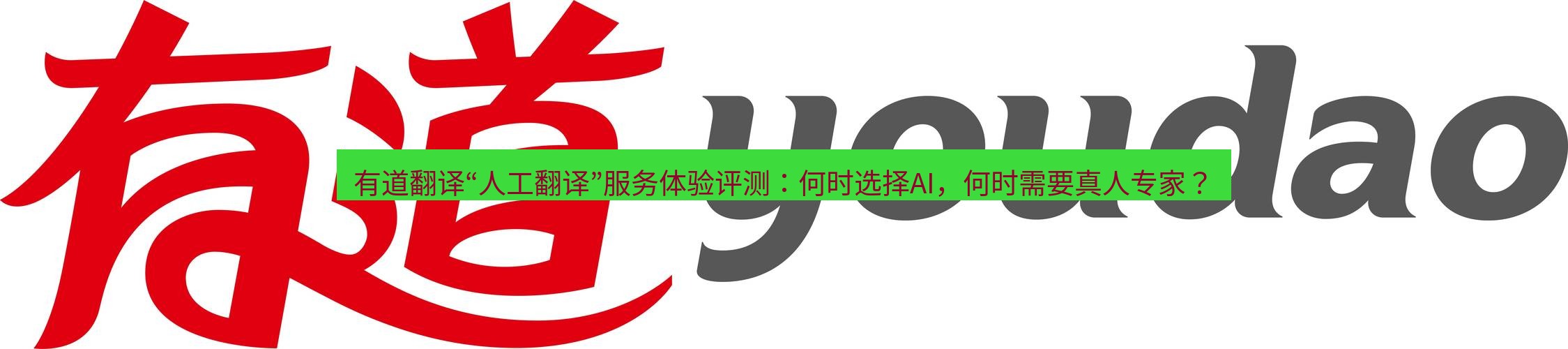 有道翻译下载 有道翻译“人工翻译”服务体验评测：何时选择AI，何时需要真人专家？