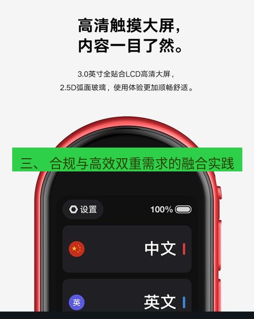 有道翻译下载 三、 合规与高效双重需求的融合实践