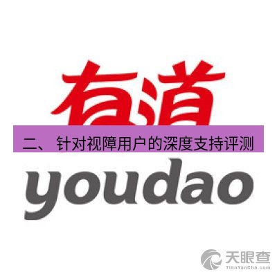 有道翻译下载 二、 针对视障用户的深度支持评测