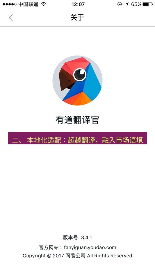 有道翻译下载 二、 本地化适配：超越翻译，融入市场语境