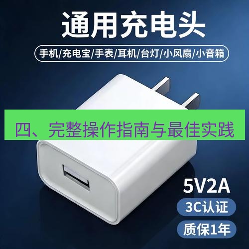 有道翻译下载 四、完整操作指南与最佳实践