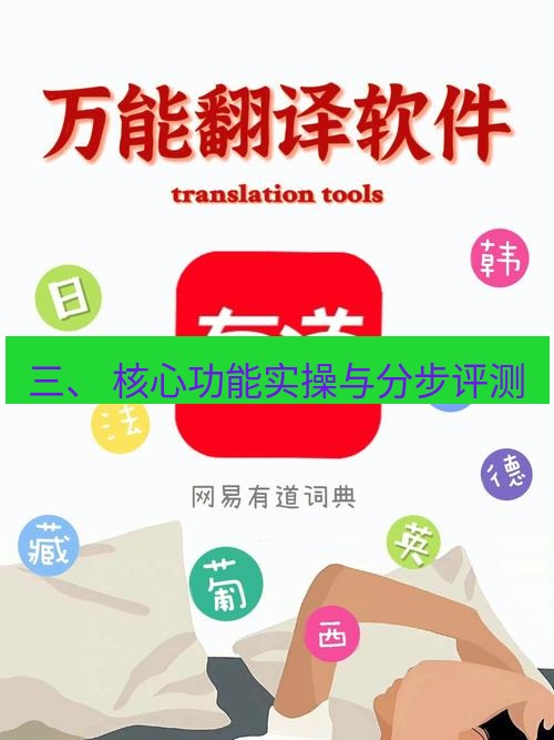 有道翻译下载 三、 核心功能实操与分步评测