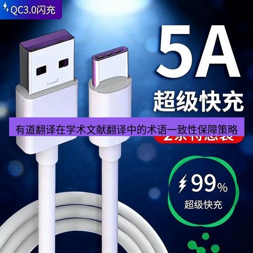 有道翻译下载 有道翻译在学术文献翻译中的术语一致性保障策略