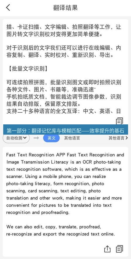 有道翻译下载 第一部分：翻译记忆库与模糊匹配——效率提升的基石