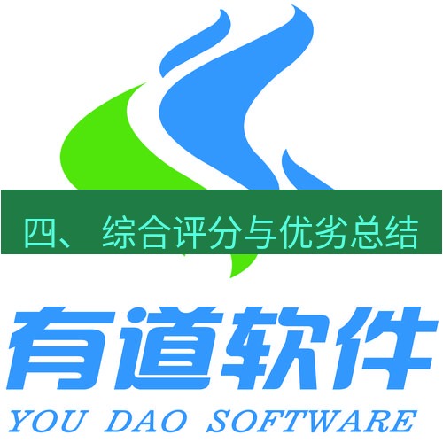 有道翻译下载 四、 综合评分与优劣总结