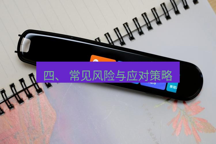 有道翻译下载 四、 常见风险与应对策略