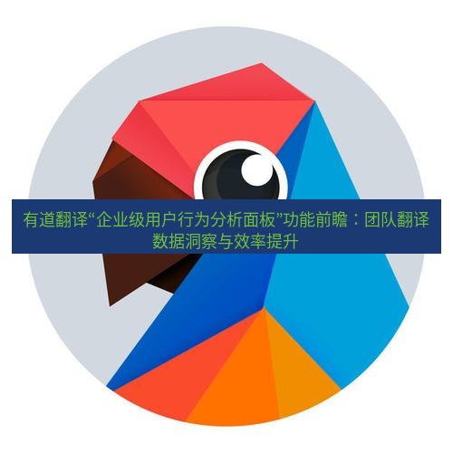有道翻译下载 有道翻译“企业级用户行为分析面板”功能前瞻：团队翻译数据洞察与效率提升
