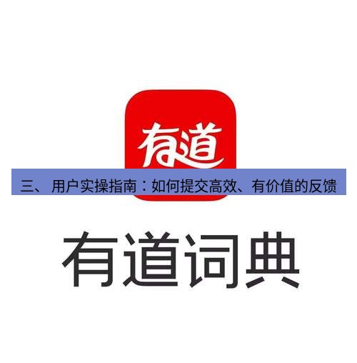 有道翻译下载 三、 用户实操指南：如何提交高效、有价值的反馈