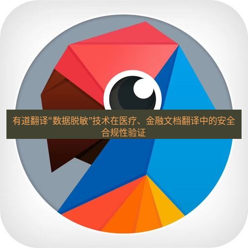 有道翻译下载 有道翻译“数据脱敏”技术在医疗、金融文档翻译中的安全合规性验证