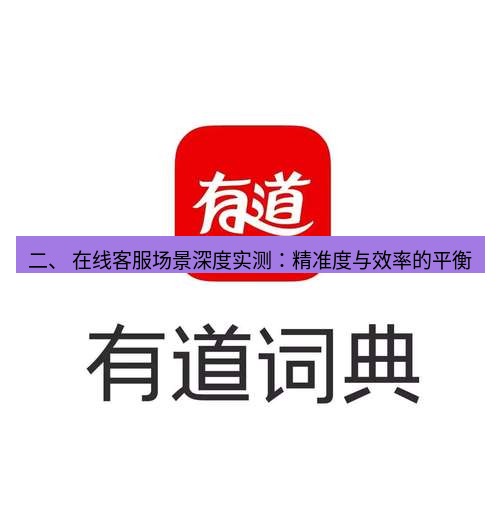 有道翻译下载 二、 在线客服场景深度实测：精准度与效率的平衡