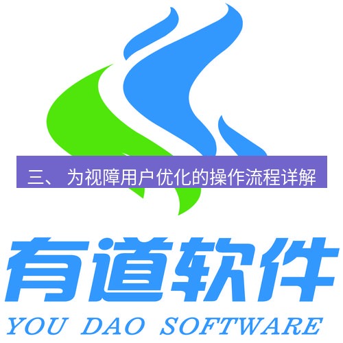 有道翻译下载 三、 为视障用户优化的操作流程详解