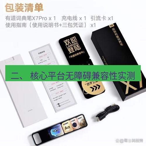 有道翻译下载 二、 核心平台无障碍兼容性实测