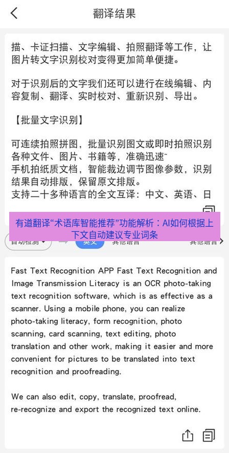 有道翻译下载 有道翻译“术语库智能推荐”功能解析：AI如何根据上下文自动建议专业词条