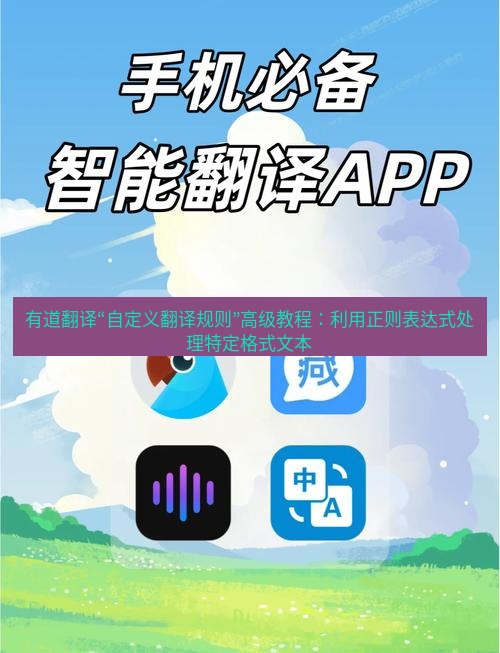 有道翻译下载 有道翻译“自定义翻译规则”高级教程：利用正则表达式处理特定格式文本
