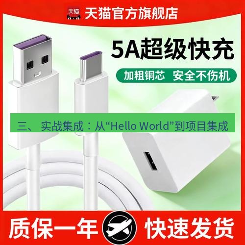 有道翻译下载 三、 实战集成：从“Hello World”到项目集成