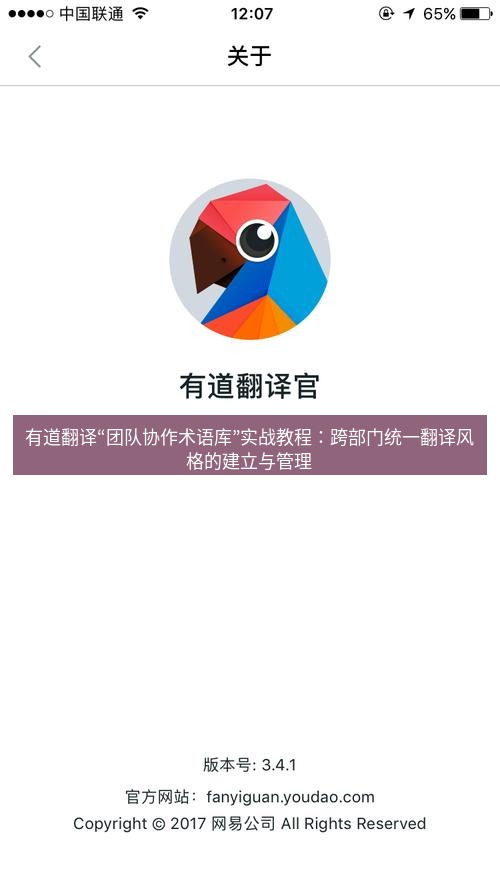 有道翻译下载 有道翻译“团队协作术语库”实战教程：跨部门统一翻译风格的建立与管理