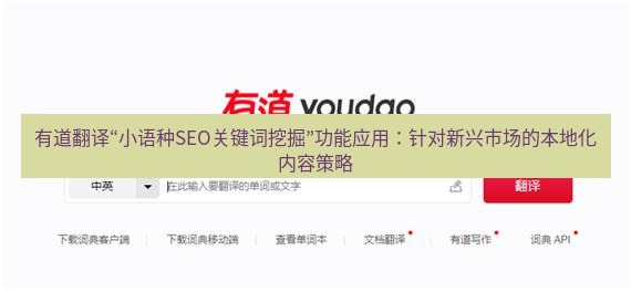 有道翻译下载 有道翻译“小语种SEO关键词挖掘”功能应用：针对新兴市场的本地化内容策略