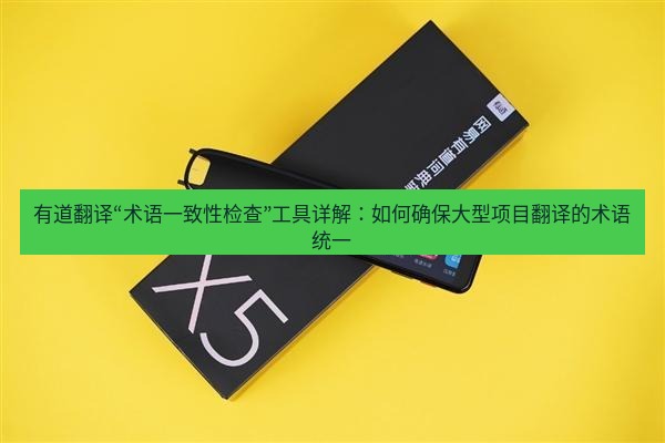 有道翻译下载 有道翻译“术语一致性检查”工具详解：如何确保大型项目翻译的术语统一