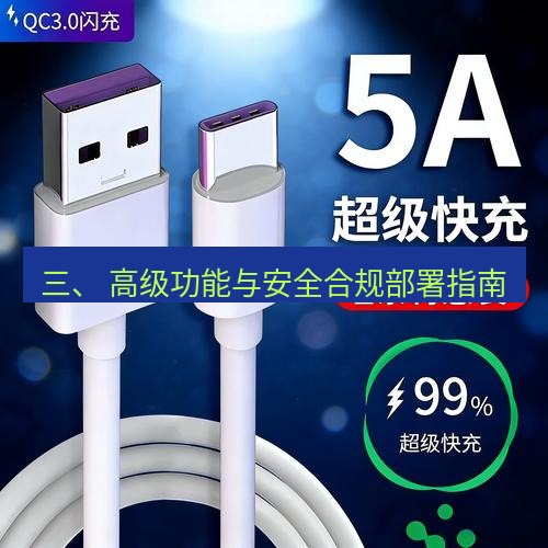 有道翻译下载 三、 高级功能与安全合规部署指南