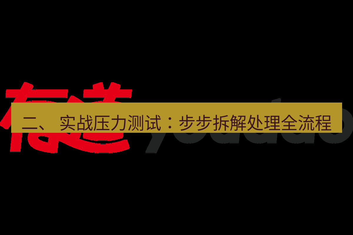 有道翻译下载 二、 实战压力测试：步步拆解处理全流程