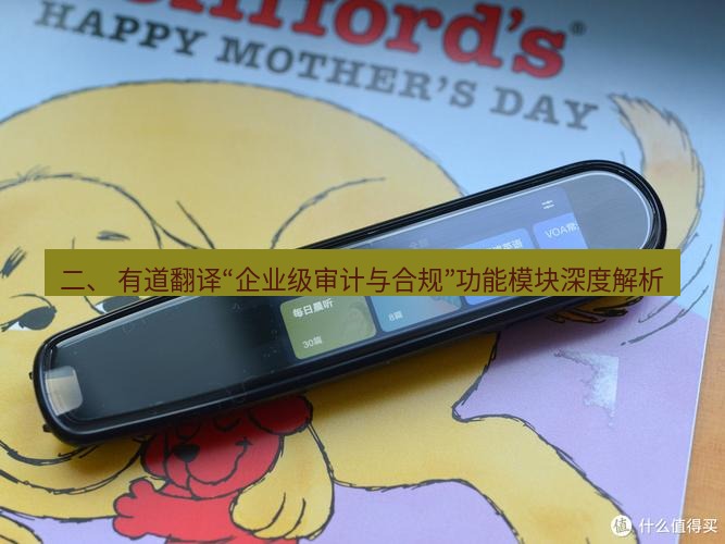 有道翻译下载 二、 有道翻译“企业级审计与合规”功能模块深度解析