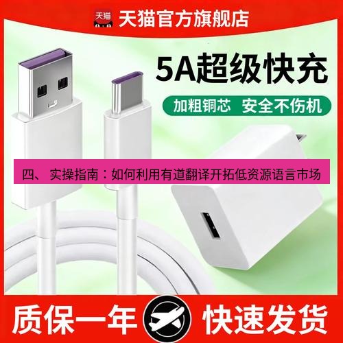 有道翻译下载 四、 实操指南：如何利用有道翻译开拓低资源语言市场