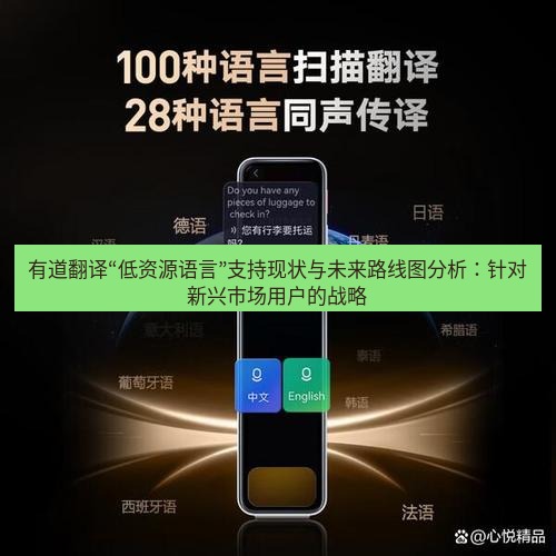 有道翻译下载 有道翻译“低资源语言”支持现状与未来路线图分析：针对新兴市场用户的战略