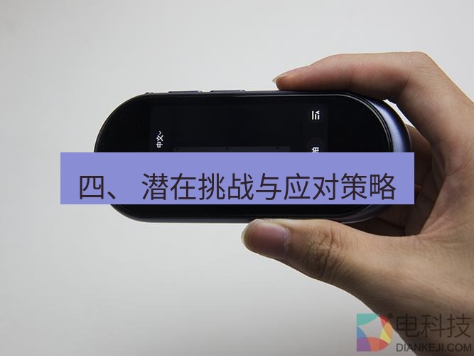 有道翻译下载 四、 潜在挑战与应对策略