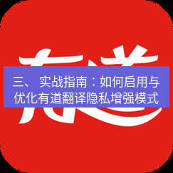 有道翻译下载 三、 实战指南：如何启用与优化有道翻译隐私增强模式