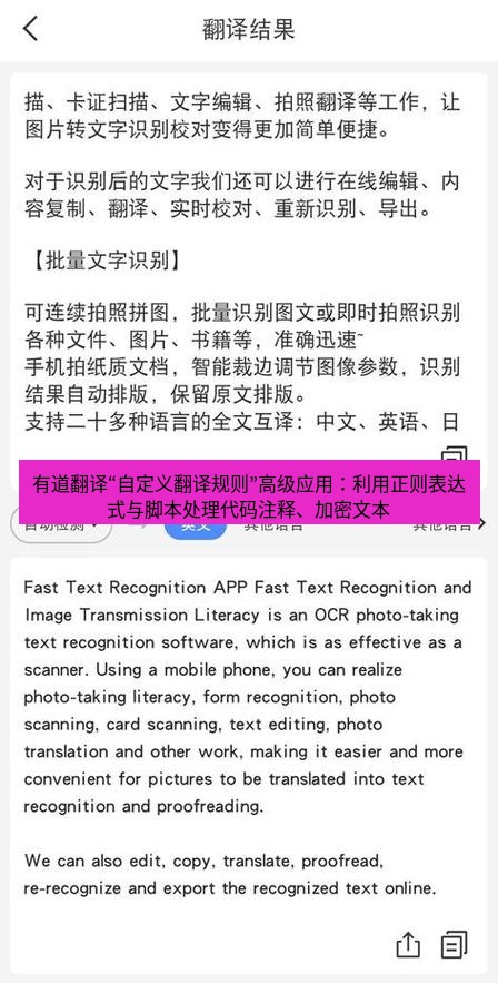 有道翻译下载 有道翻译“自定义翻译规则”高级应用：利用正则表达式与脚本处理代码注释、加密文本