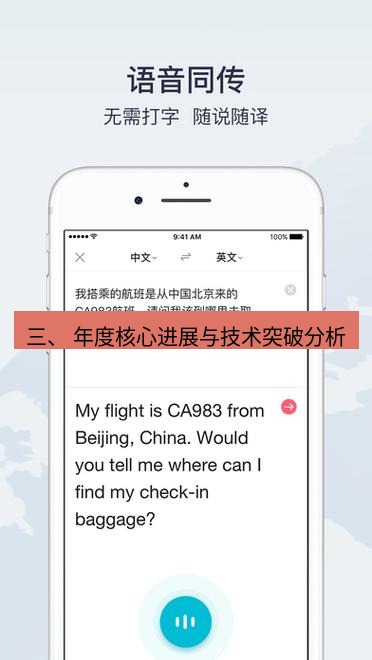 有道翻译下载 三、 年度核心进展与技术突破分析