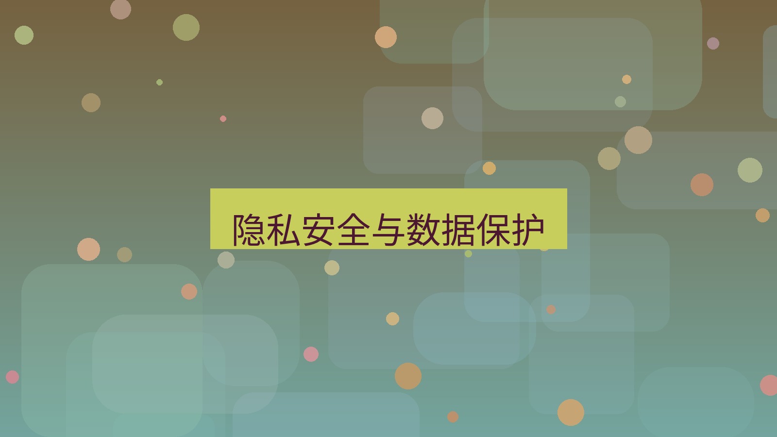 有道翻译 隐私安全与数据保护