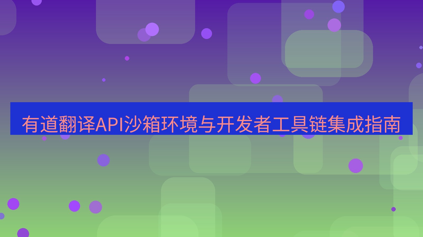有道翻译 有道翻译API沙箱环境与开发者工具链集成指南