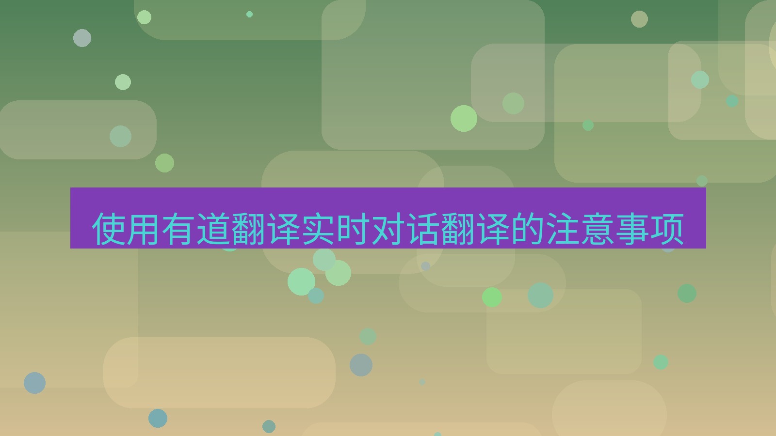 有道翻译 使用有道翻译实时对话翻译的注意事项